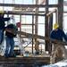 DA Haig Construction workers Dan Haydon, Kyle Young and Craig Hauswirth remove a portion of a historic barn at Zingerman's Cornman Farms in Dexter on Monday, March 4, 2013. Melanie Maxwell I AnnArbor.com
